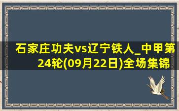 石家庄功夫vs辽宁铁人_中甲第24轮(09月22日)全场集锦