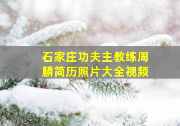 石家庄功夫主教练周麟简历照片大全视频