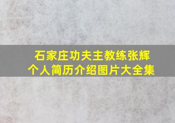 石家庄功夫主教练张辉个人简历介绍图片大全集