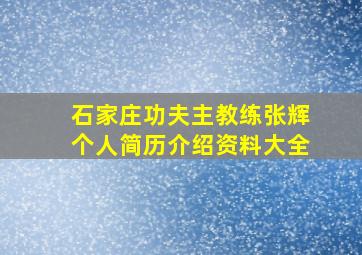 石家庄功夫主教练张辉个人简历介绍资料大全