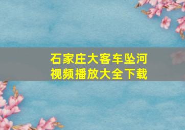 石家庄大客车坠河视频播放大全下载