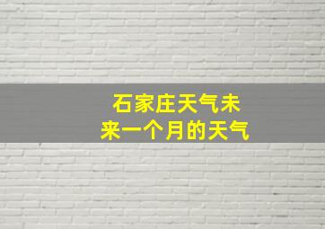 石家庄天气未来一个月的天气