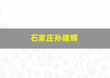 石家庄孙建辉