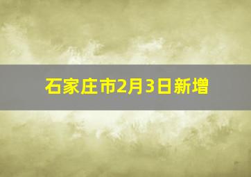 石家庄市2月3日新增