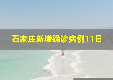 石家庄新增确诊病例11日