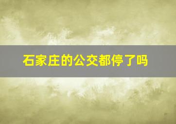 石家庄的公交都停了吗