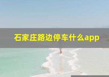 石家庄路边停车什么app