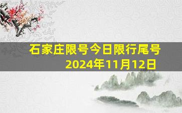 石家庄限号今日限行尾号2024年11月12日