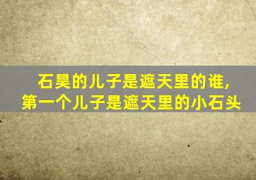 石昊的儿子是遮天里的谁,第一个儿子是遮天里的小石头