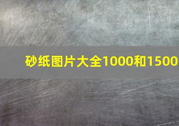 砂纸图片大全1000和1500