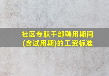 社区专职干部聘用期间(含试用期)的工资标准