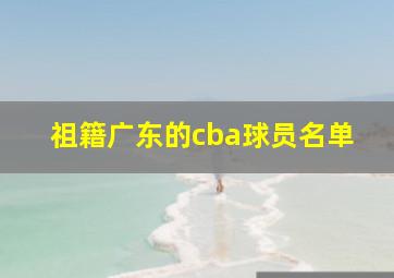 祖籍广东的cba球员名单