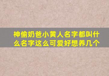 神偷奶爸小黄人名字都叫什么名字这么可爱好想养几个