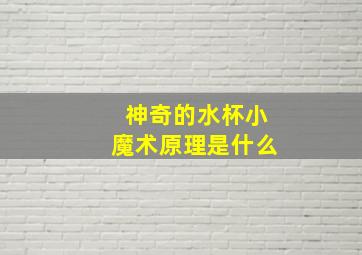 神奇的水杯小魔术原理是什么