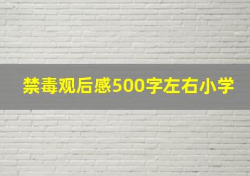 禁毒观后感500字左右小学