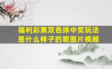 福利彩票双色球中奖玩法是什么样子的呢图片视频