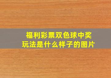 福利彩票双色球中奖玩法是什么样子的图片