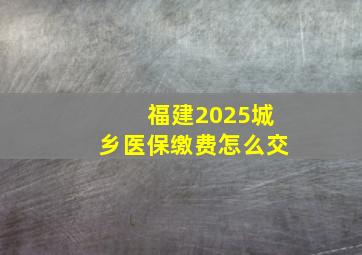 福建2025城乡医保缴费怎么交