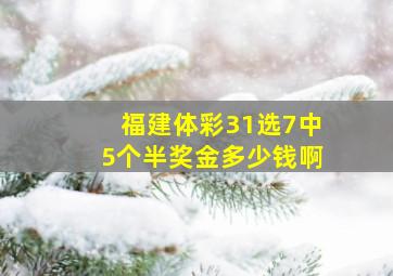 福建体彩31选7中5个半奖金多少钱啊