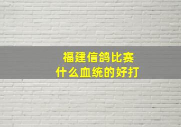 福建信鸽比赛什么血统的好打