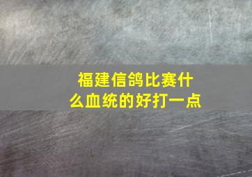 福建信鸽比赛什么血统的好打一点