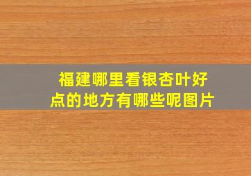 福建哪里看银杏叶好点的地方有哪些呢图片