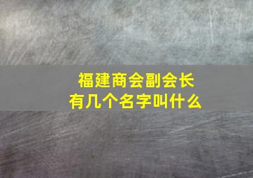 福建商会副会长有几个名字叫什么