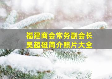 福建商会常务副会长吴超雄简介照片大全