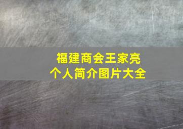 福建商会王家亮个人简介图片大全