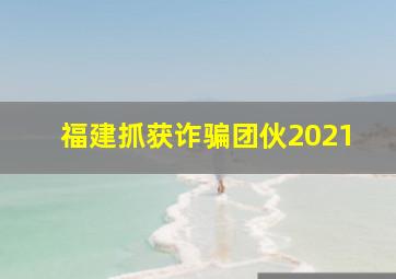 福建抓获诈骗团伙2021