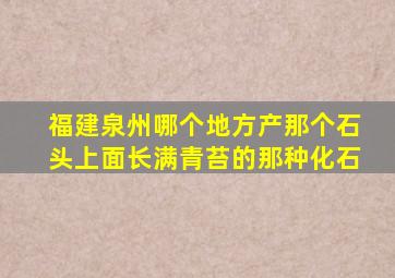 福建泉州哪个地方产那个石头上面长满青苔的那种化石