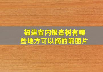 福建省内银杏树有哪些地方可以摘的呢图片