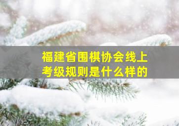 福建省围棋协会线上考级规则是什么样的