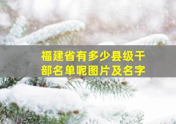 福建省有多少县级干部名单呢图片及名字