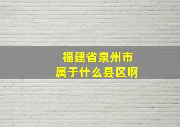 福建省泉州市属于什么县区啊