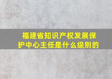 福建省知识产权发展保护中心主任是什么级别的