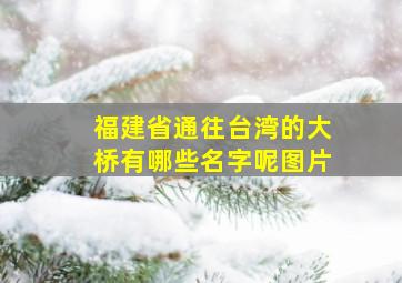 福建省通往台湾的大桥有哪些名字呢图片