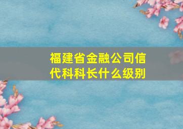 福建省金融公司信代科科长什么级别