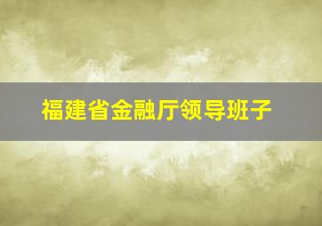 福建省金融厅领导班子