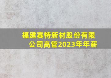 福建赛特新材股份有限公司高管2023年年薪