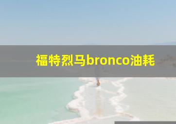 福特烈马bronco油耗