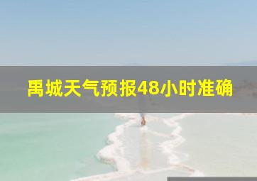 禹城天气预报48小时准确