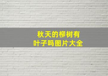 秋天的柳树有叶子吗图片大全