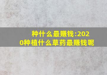 种什么最赚钱:2020种植什么草药最赚钱呢