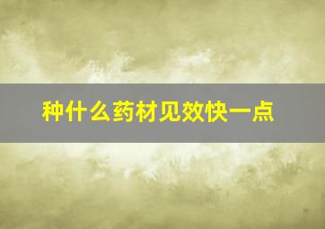 种什么药材见效快一点