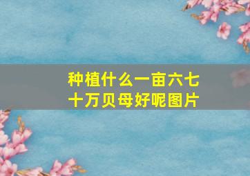 种植什么一亩六七十万贝母好呢图片