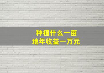 种植什么一亩地年收益一万元