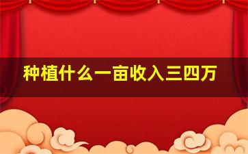 种植什么一亩收入三四万