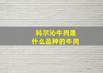 科尔沁牛肉是什么品种的牛肉