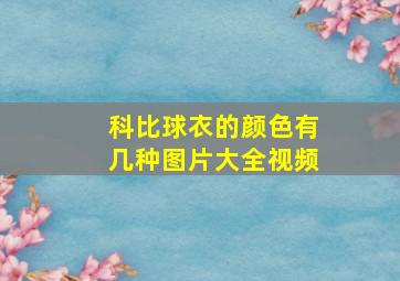 科比球衣的颜色有几种图片大全视频